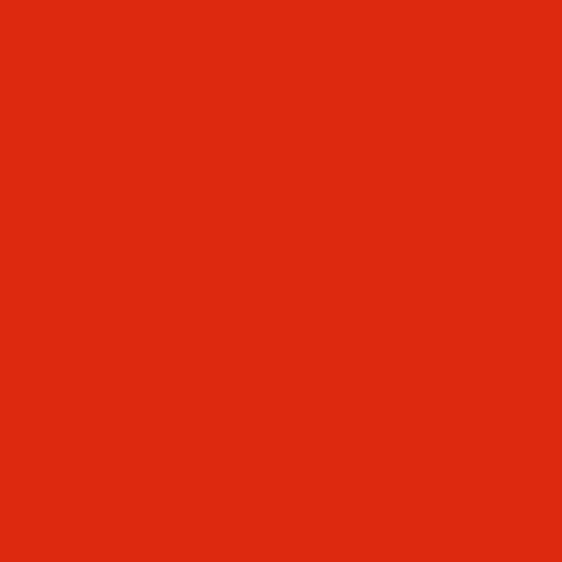 中文 flag
